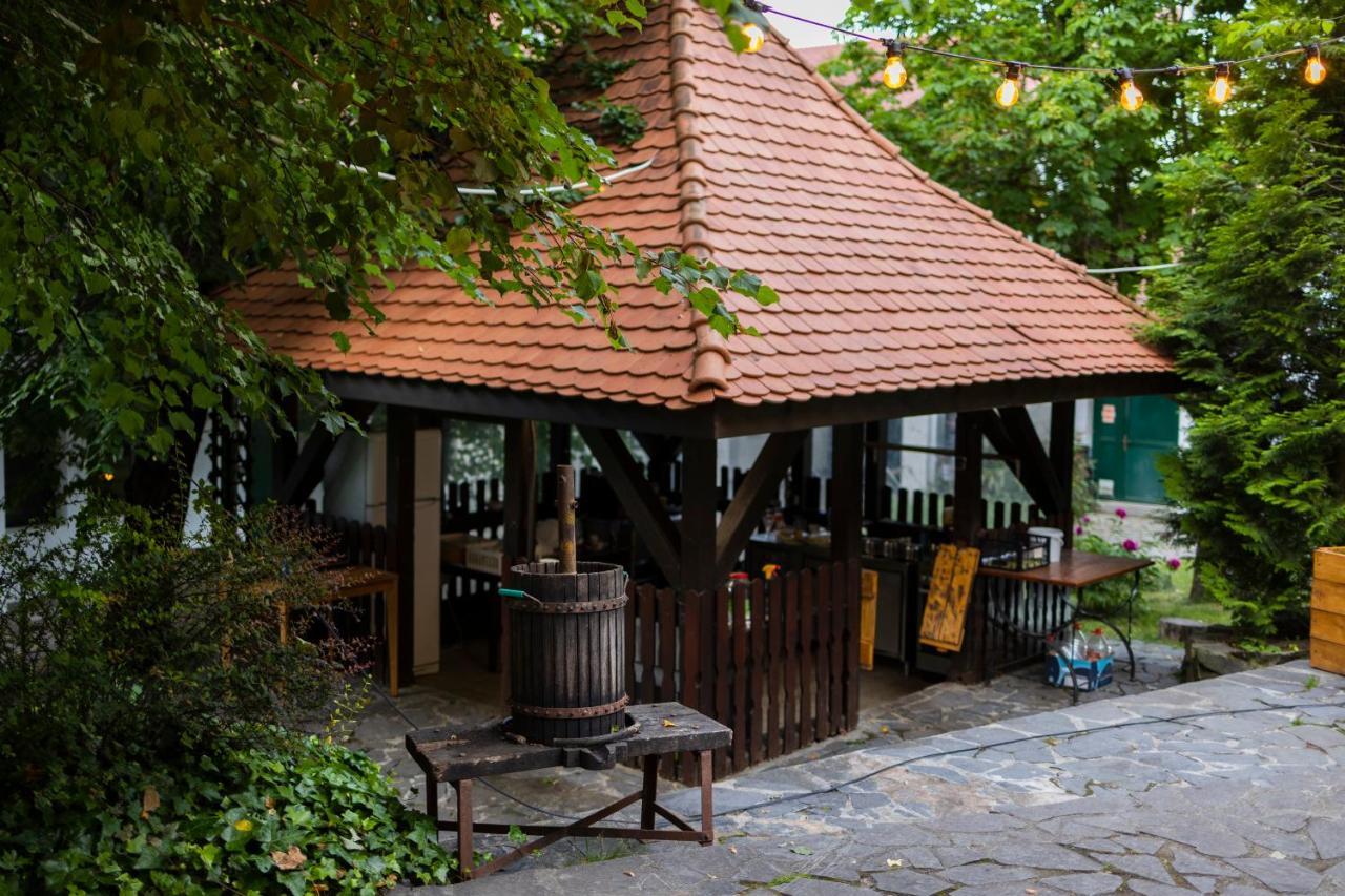 Pensiunea 7 Tei Michelsberg Exterior foto
